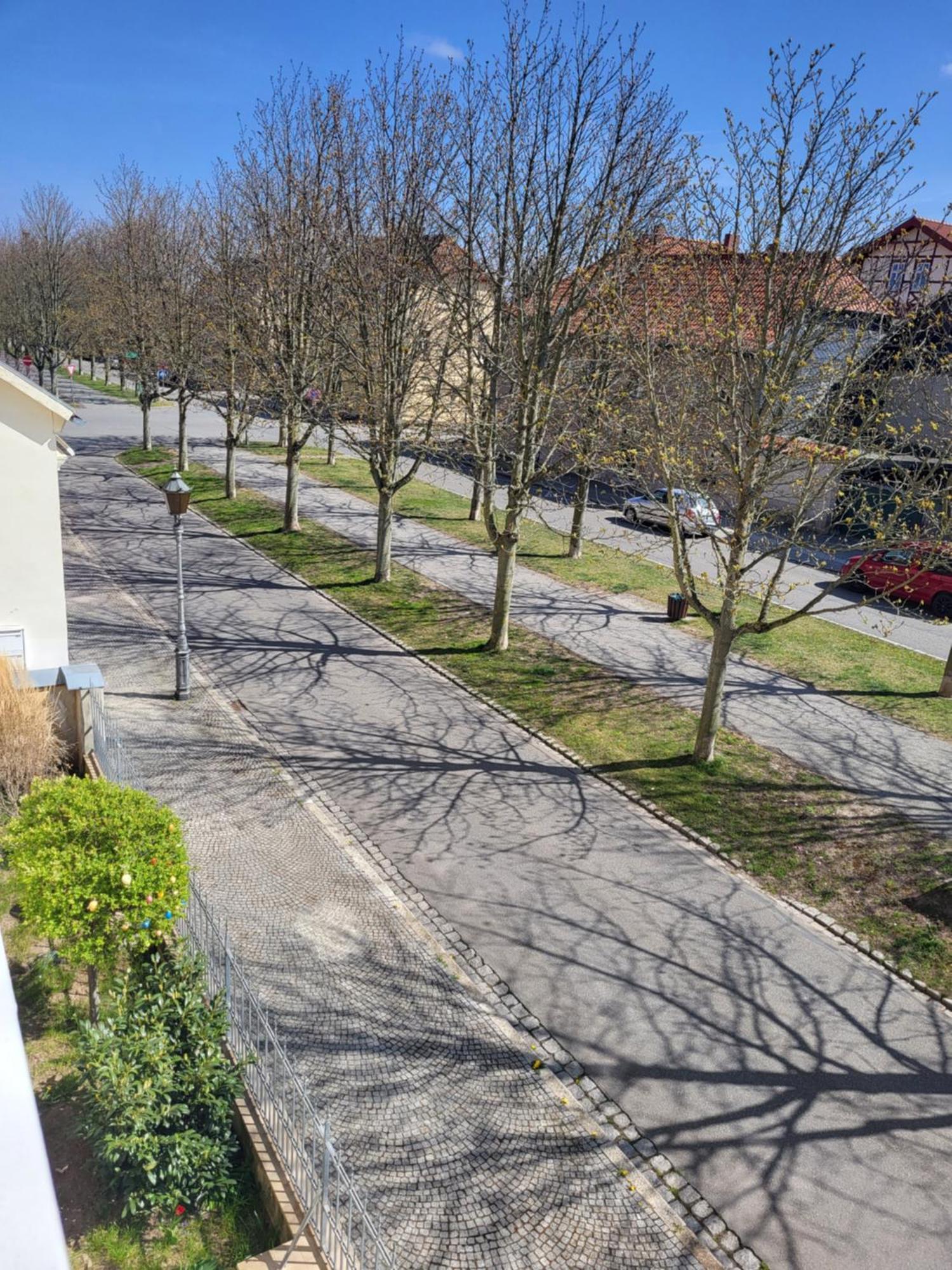 Alleeblick Ballenstedt Exterior foto